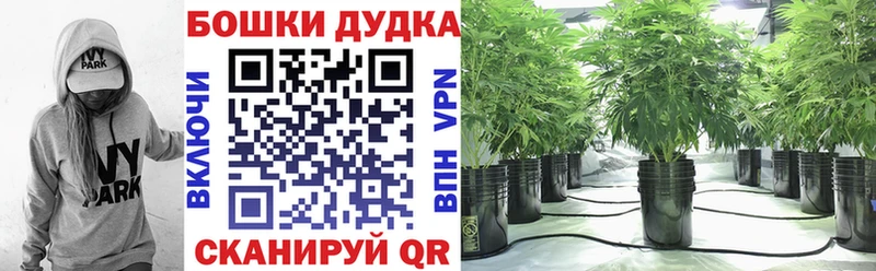 Купить где  Свободный  Бошки марихуана THC 21% 